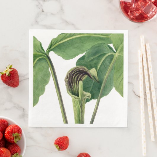 SERVIETTE EN PAPIER ILLUSTRATION BOTANIQUE RÉTRO : JACK DANS LA PULPTE (En situation)