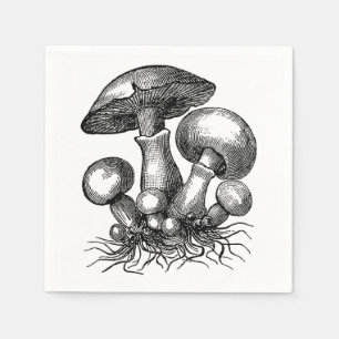 Serviette En Papier Illustration de champignon vintage