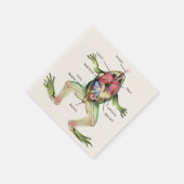 Serviette En Papier Illustration de l'anatomie de la grenouille (Coin)