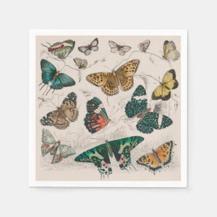 Serviette En Papier Illustration de papillon antique : 1820 Orfèvre