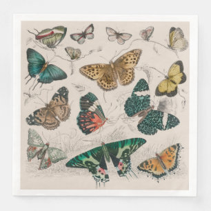 Serviette En Papier Illustration de papillon antique : 1820 Orfèvre
