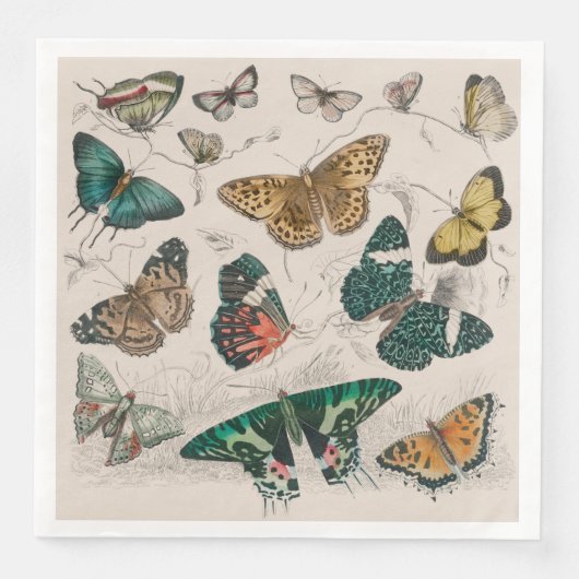 Serviette En Papier Illustration de papillon antique : 1820 Orfèvre (Devant)