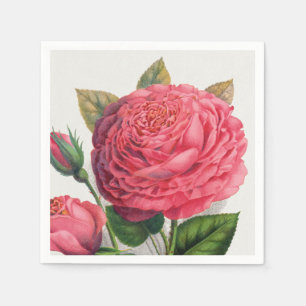 Serviette En Papier Illustration de rose rose vintage