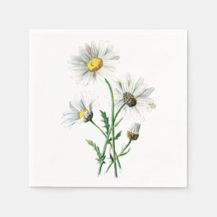 Serviette En Papier Illustration vintage de fleur de marguerite
