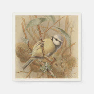 Serviette En Papier Illustration vintage de mésange bleue