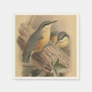 Serviette En Papier Illustration vintage de Nuthatch