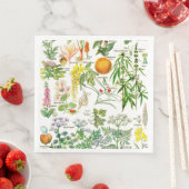 Serviette En Papier Illustrations botaniques (En situation)