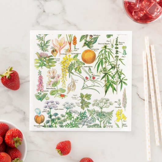 Serviette En Papier Illustrations botaniques (En situation)