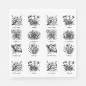 Serviette En Papier Illustrations botaniques (Devant)