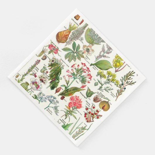 Serviette En Papier Illustrations botaniques (Coin)