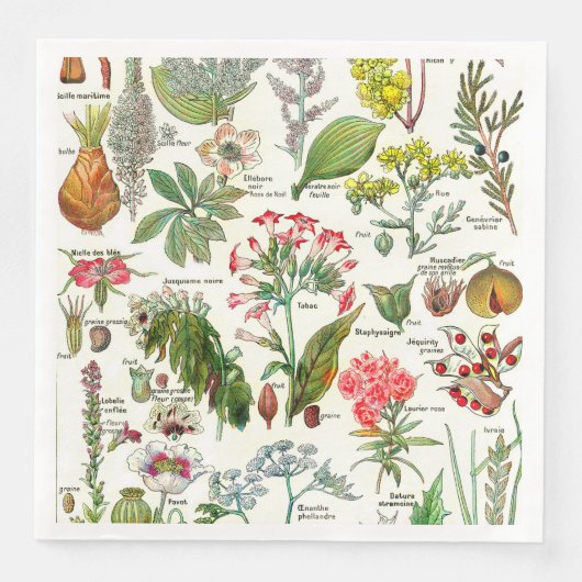 Serviette En Papier Illustrations botaniques (Devant)