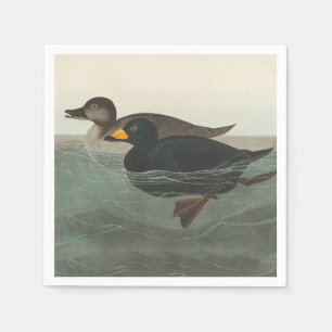 Serviette En Papier Impression de Macreuse noire d'Audubon : Canard cô