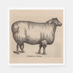 Serviette En Papier Impression du 19e siècle de mouton Cotswold