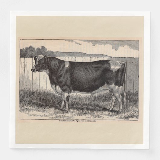 Serviette En Papier Impression du taureau Holstein du 19e siècle (Devant)