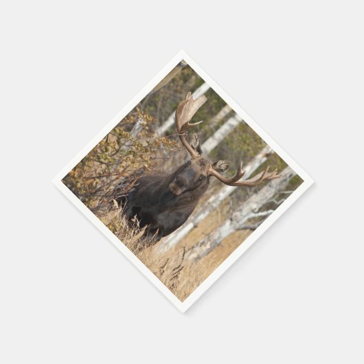 Serviette En Papier Impressionnant orignal (Coin)