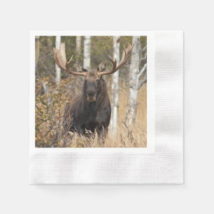 Serviette En Papier Impressionnant taureau