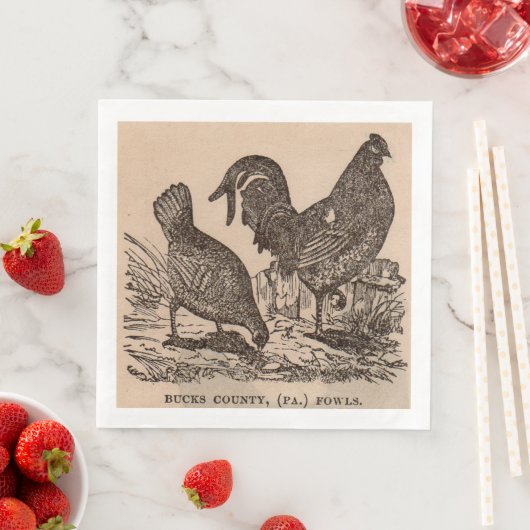 Serviette En Papier Imprimé au 19e siècle Bucks Comté poulets poulets (En situation)