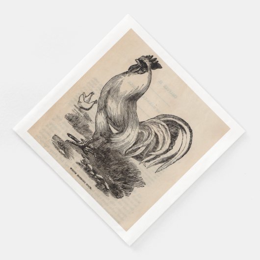 Serviette En Papier Imprimé du 19e siècle blanc Coq Dorking (Coin)
