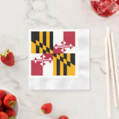 Serviette En Papier Indicateur de l'état du Maryland (En situation)