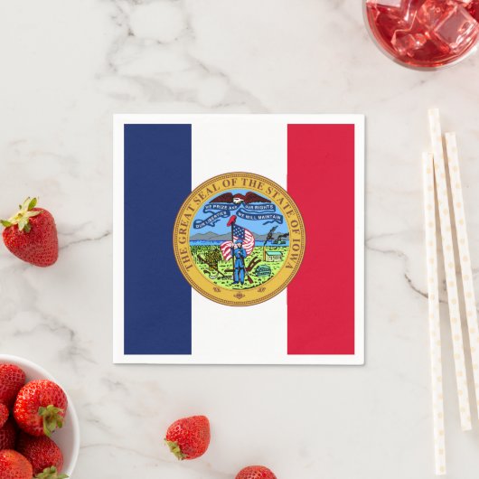Serviette En Papier Iowan Seal, Iowa (En situation)