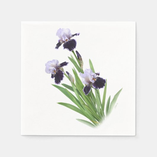 Serviette En Papier Iris Trio (Devant)