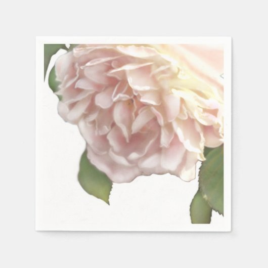 Serviette En Papier Ivory Blush Rose (Devant)