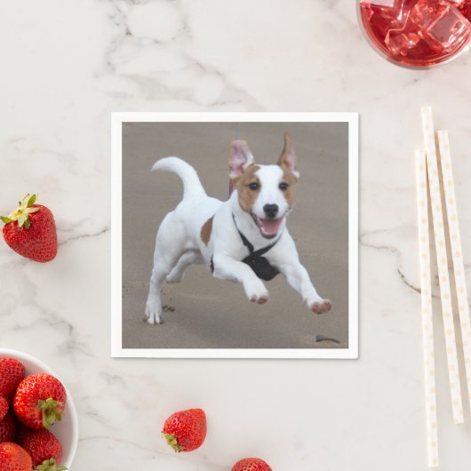 Serviette En Papier Jack_Russell terrier exécution 2.png (En situation)