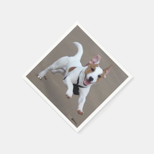 Serviette En Papier Jack_Russell terrier exécution 2.png (Coin)