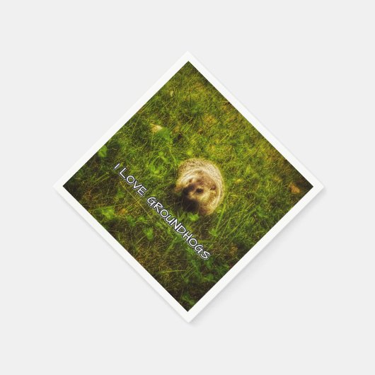 Serviette En Papier J'aime les serviettes de table pour marmottes (Coin)