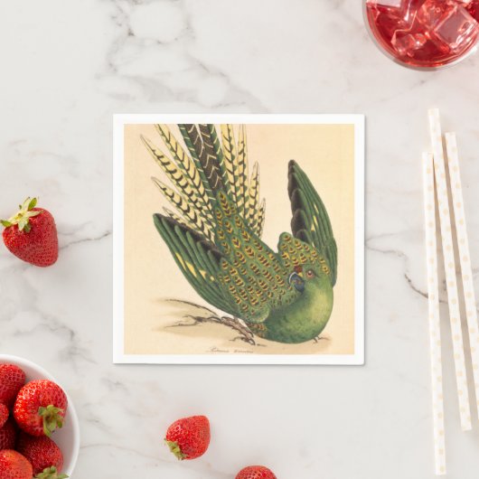 Serviette En Papier James Sowerby Parrot terrestre, Psittacus terrestr (En situation)