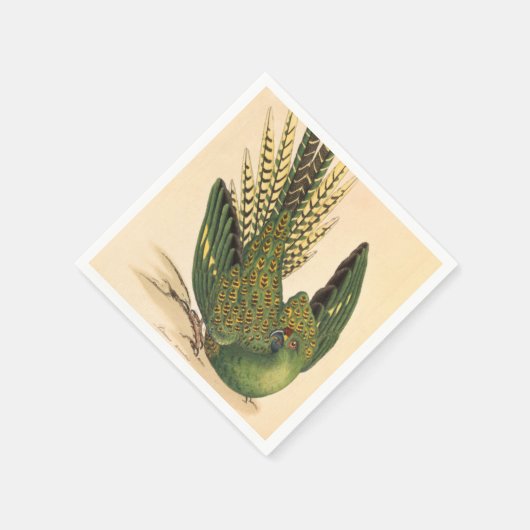 Serviette En Papier James Sowerby Parrot terrestre, Psittacus terrestr (Coin)
