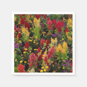 Serviette En Papier Jardin de fleurs d'été animé à Orlando en Floride