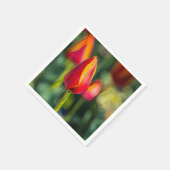 Serviette En Papier Jardin de Tulipes texturé (Coin)