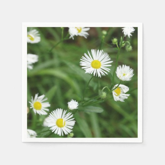 Serviette En Papier Jardin fleuri 5 (Devant)