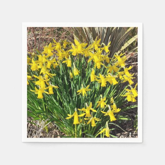 Serviette En Papier Jaune Daffodique de printemps Papier Napkin (Devant)