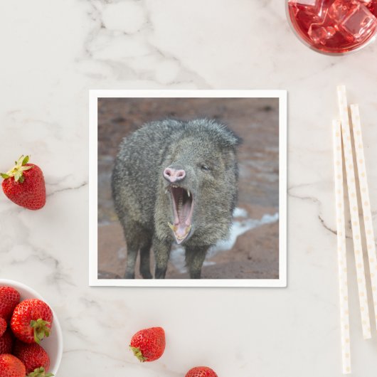 Serviette En Papier Javalina avec sa bouche large ouverte (En situation)