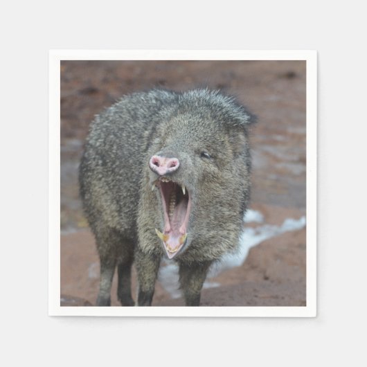 Serviette En Papier Javalina avec sa bouche large ouverte (Devant)