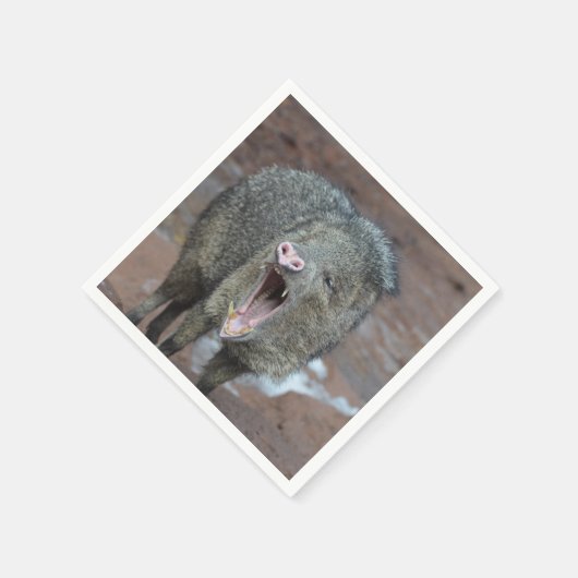 Serviette En Papier Javalina avec sa bouche large ouverte (Coin)