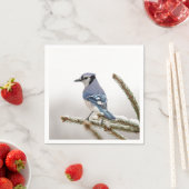 Serviette En Papier Jay bleu en hiver (En situation)