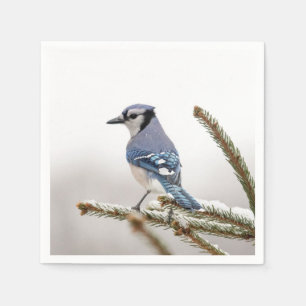 Serviette En Papier Jay bleu en hiver