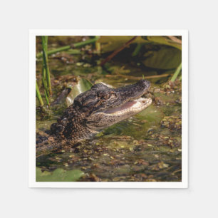 Serviette En Papier Jeune Alligator