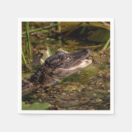 Serviette En Papier Jeune Alligator (Devant)