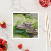 Serviette En Papier Jeune Alligator (En situation)