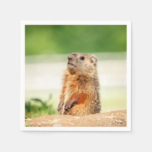 Serviette En Papier Jeune marmotte