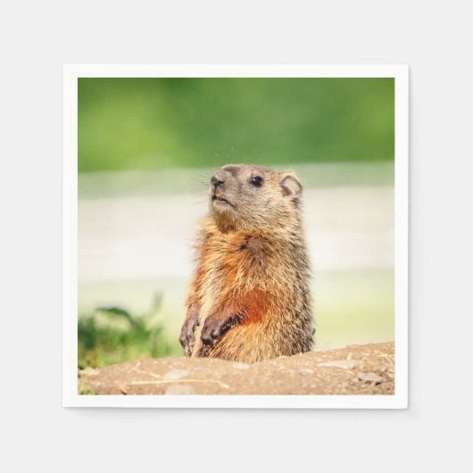 Serviette En Papier Jeune marmotte (Devant)
