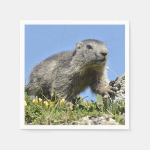 Serviette En Papier Jeune marmotte alpine