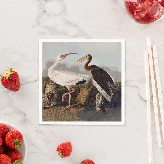 Serviette En Papier John James Audubon White Ibis Bird Print Classic (En situation)