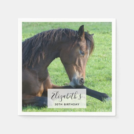 Serviette En Papier Joli Cheval Brown allongé dans l'herbe (Devant)