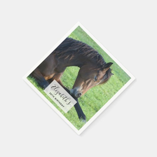 Serviette En Papier Joli Cheval Brown allongé dans l'herbe (Coin)