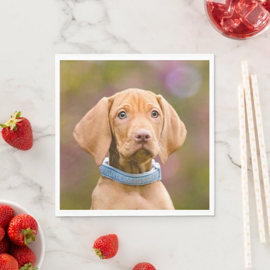 Serviette En Papier Joli chiot hongrois Vizsla Chien Chien Photo / (En situation)